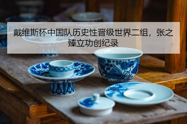 dai-wei-si-bei-zhong-guo-dui-li-shi-xing-jin-ji-shi-jie-er-zu-zhang-zhi-zhen-li-gong-chuang-ji-lu-3-484.jpg