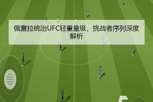 佩雷拉统治UFC轻重量级，挑战者序列深度解析