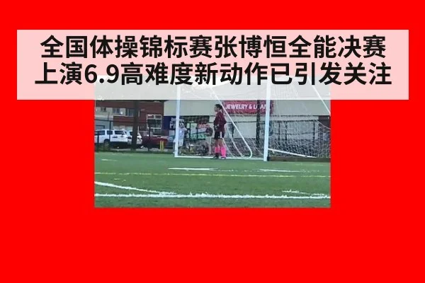 全国体操锦标赛张博恒全能决赛上演6.9高难度新动作已引发关注