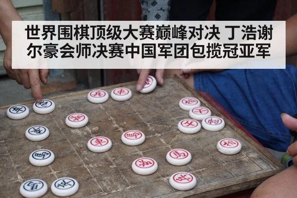 世界围棋顶级大赛巅峰对决 丁浩谢尔豪会师决赛中国军团包揽冠亚军